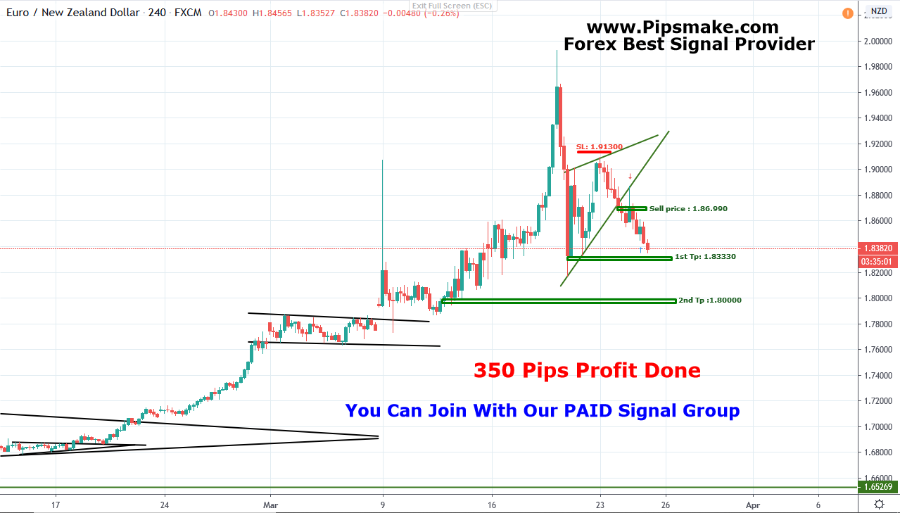 EURNZD Pipsmake Signal Provider