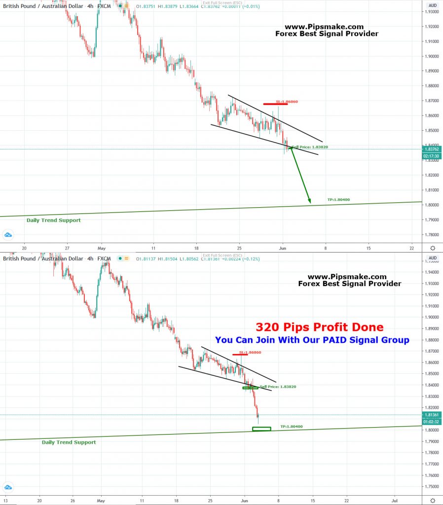 Best forex signal telegram group 2022