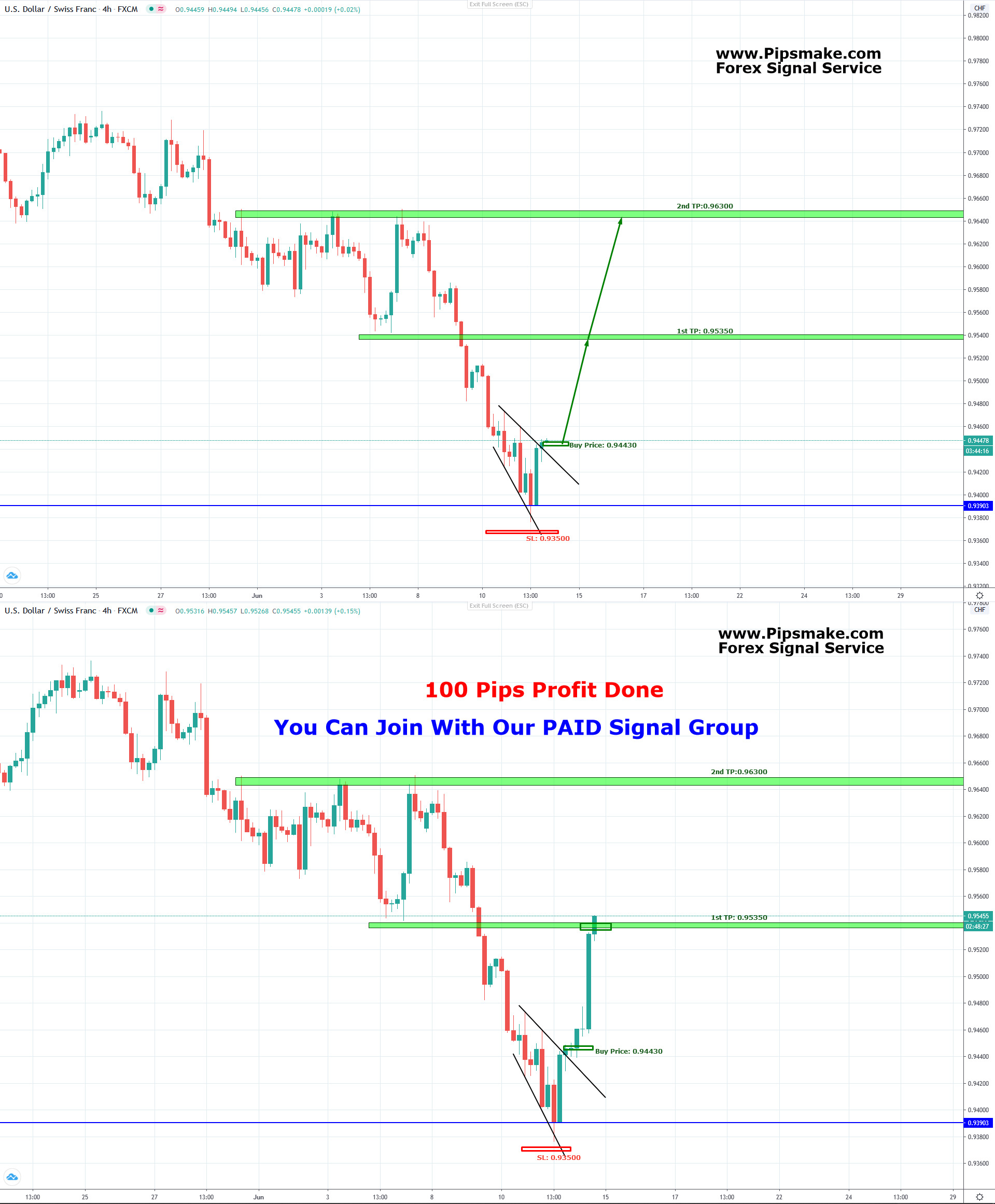 Forex Best Signal Provider 2020