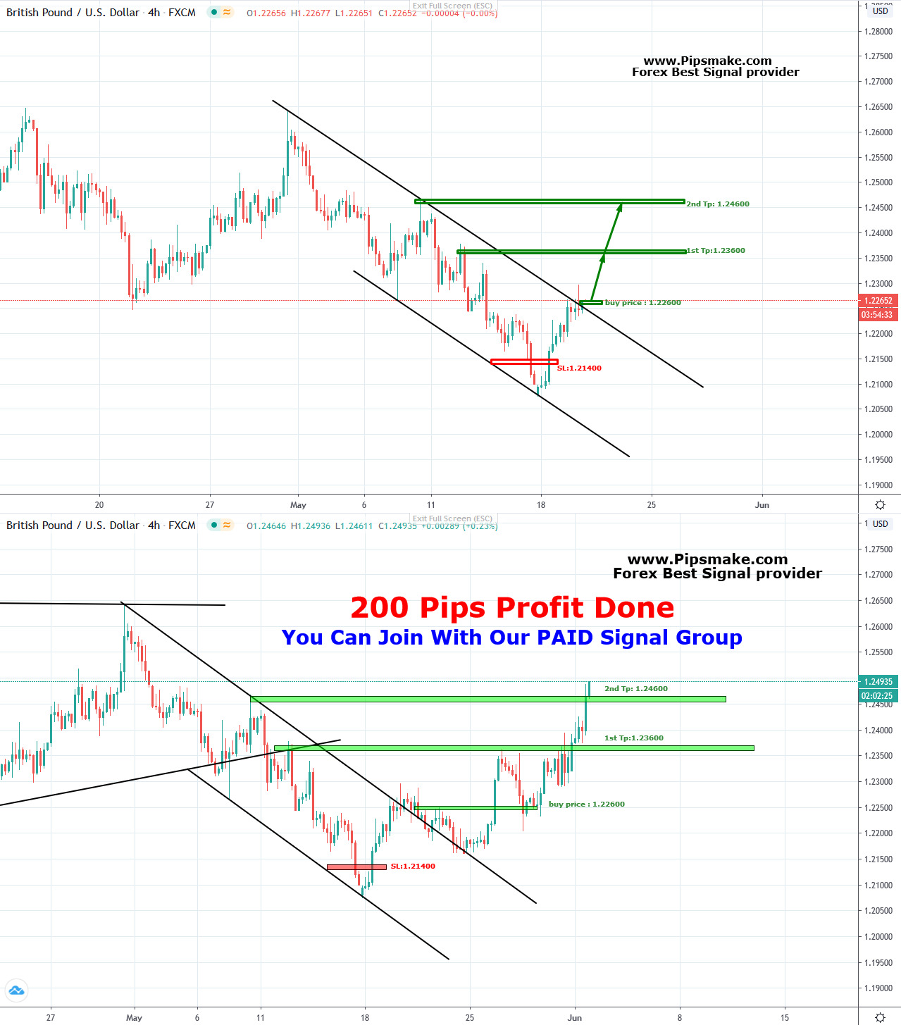 Forex Best Signal Provider 2020