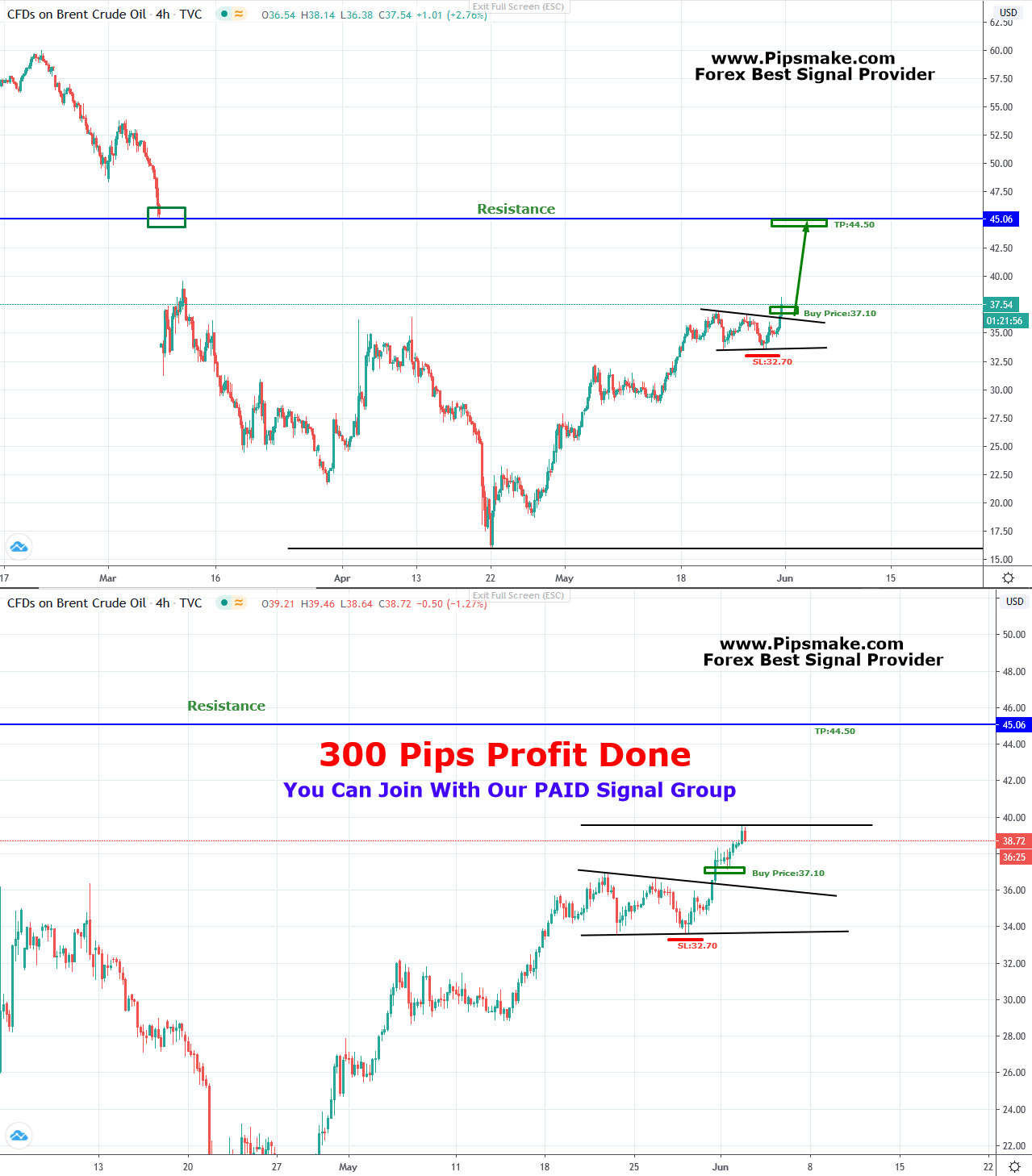 Forex Best Signal Provider 2020