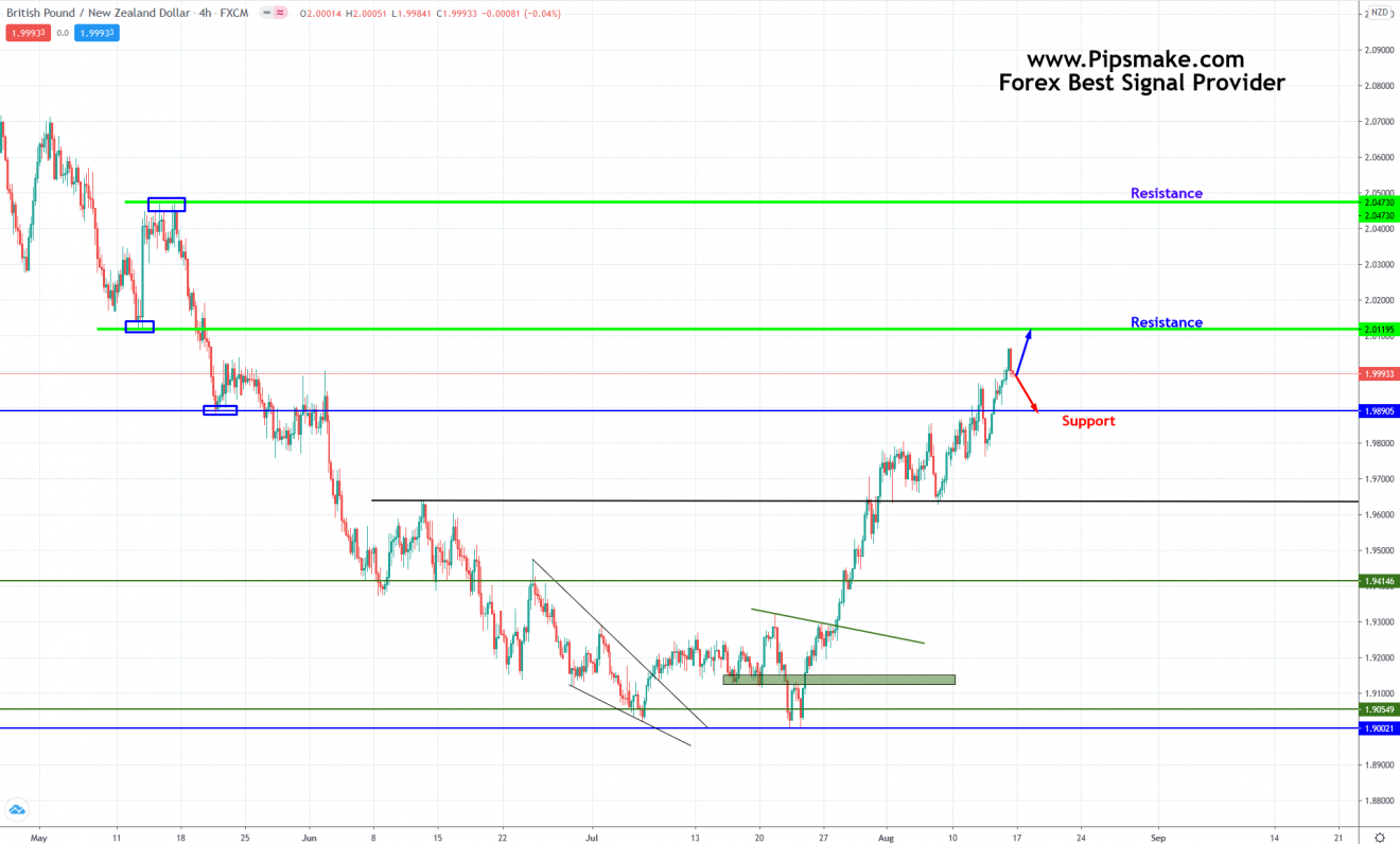 Forex signal finder