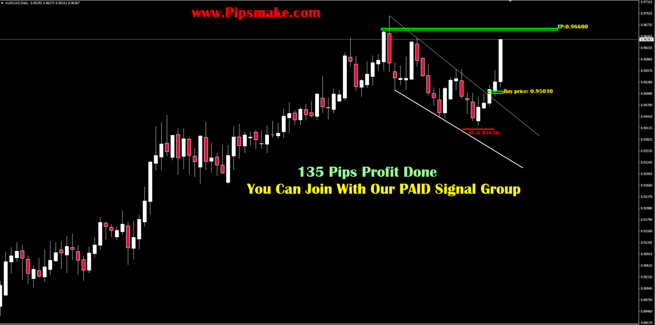 Forex Best Signal Provider In 2020