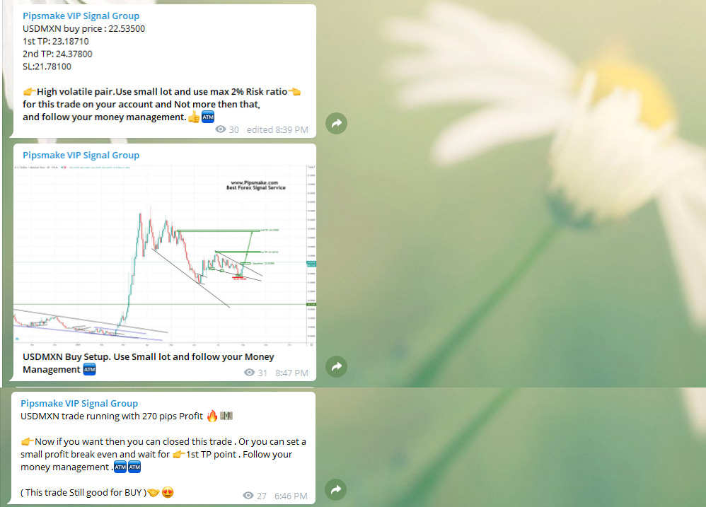 USDMXN Trade Signal