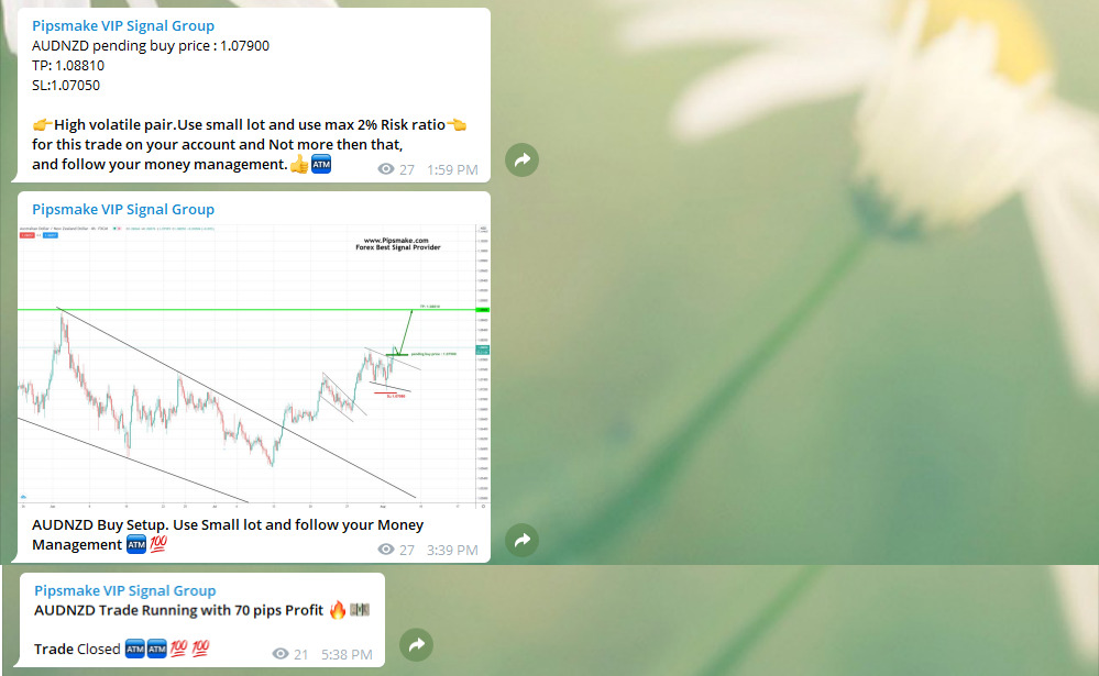 AUDNZD Signal