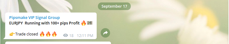 Forex Best Signal Provider
