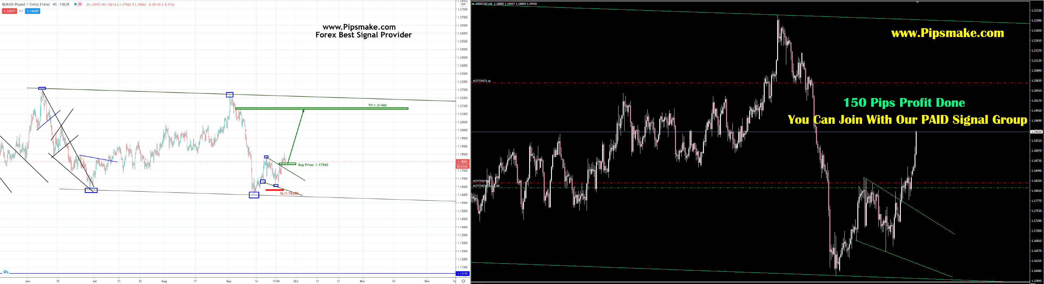 Forex Signal Provider