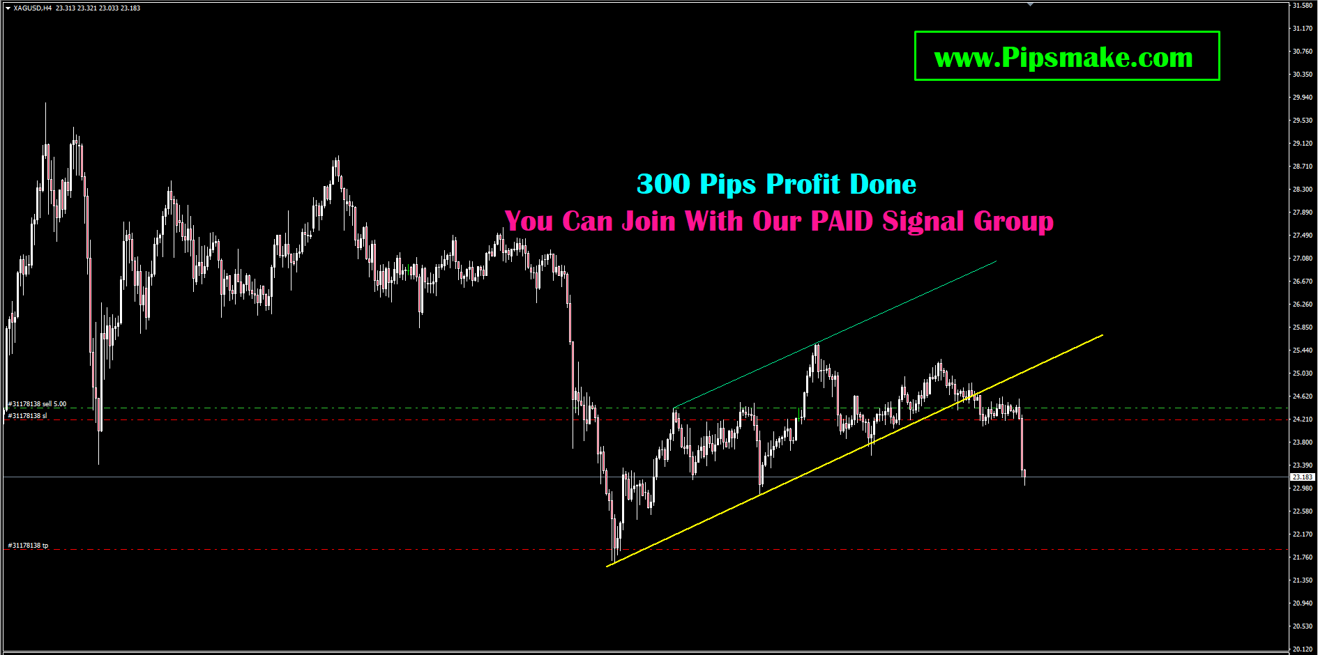 Forex Signal Service