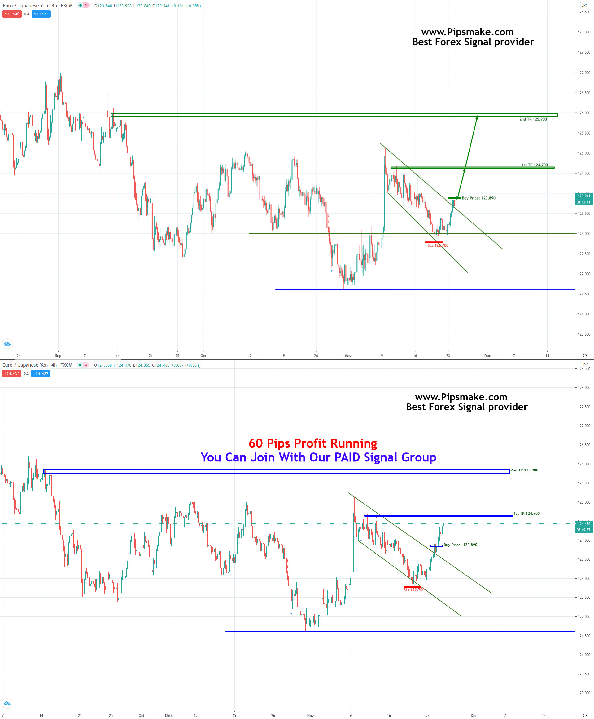 Forex Signal Service