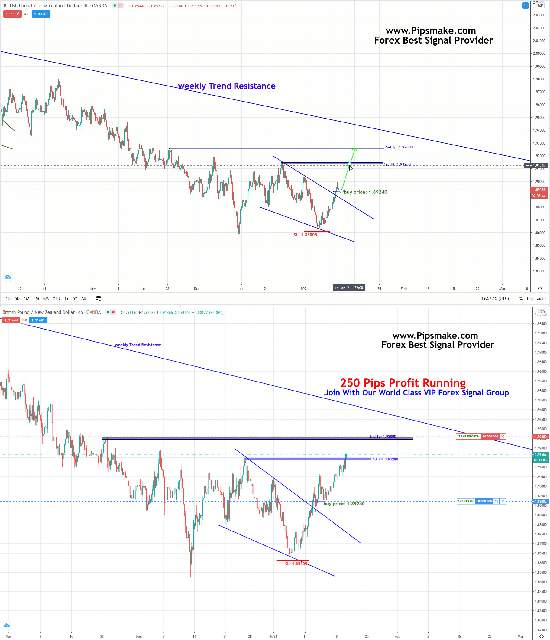 Then Forex Signal provider 2021