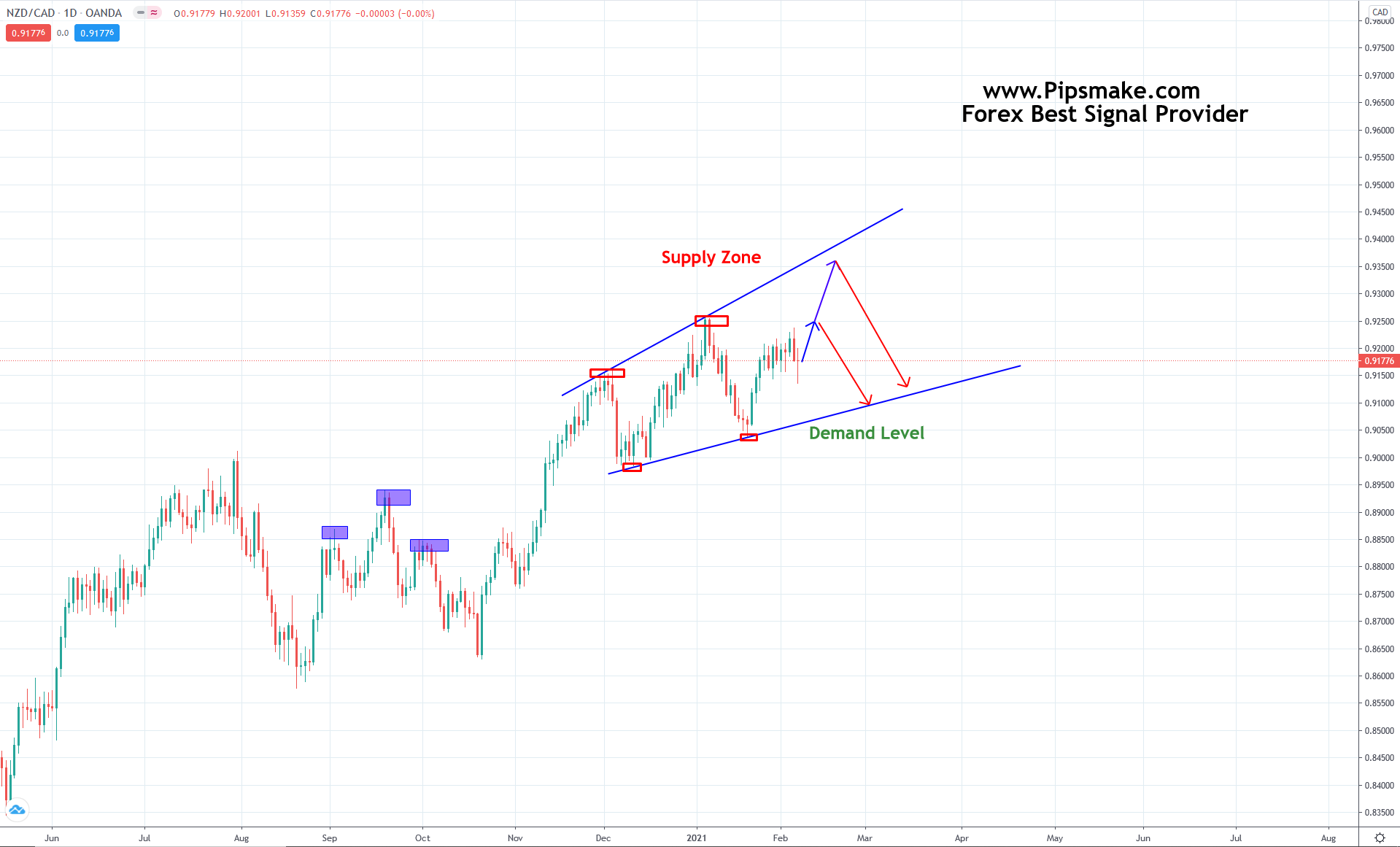 Forex Signals