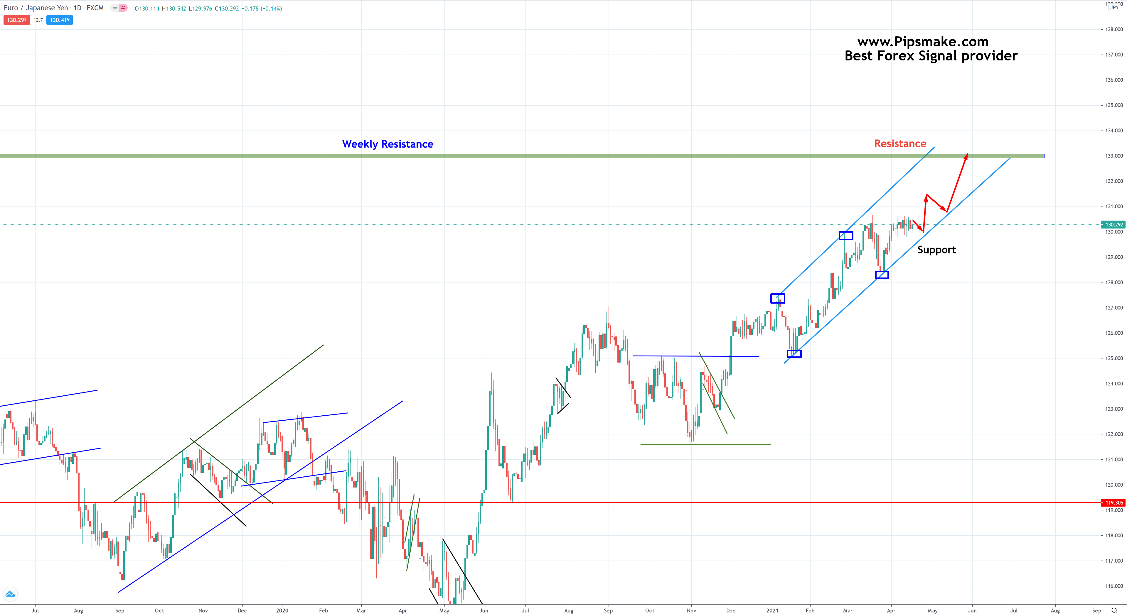 Forex signal