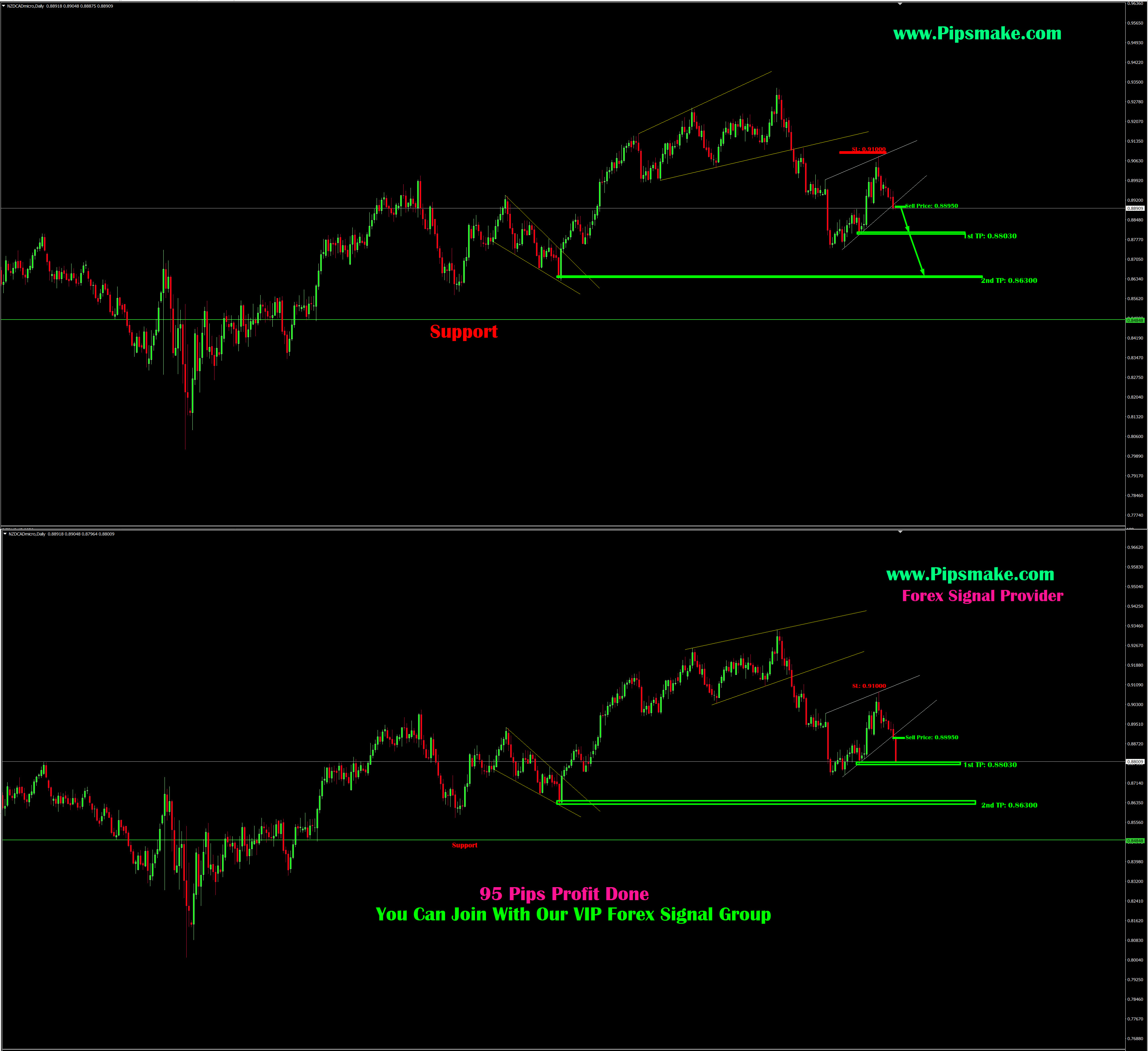 Forex Signals