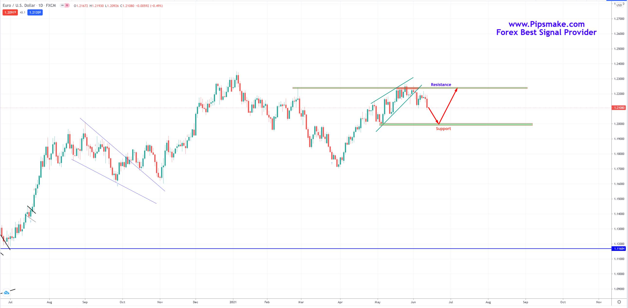 live forex signals