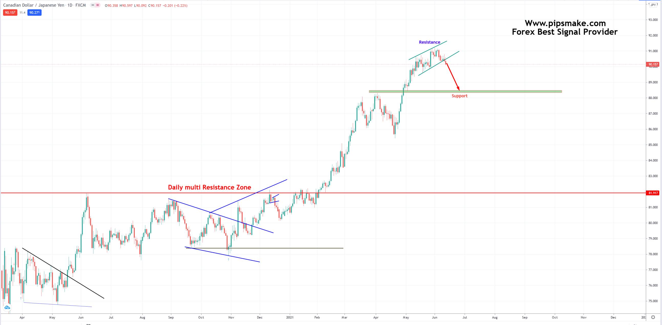 live forex signals