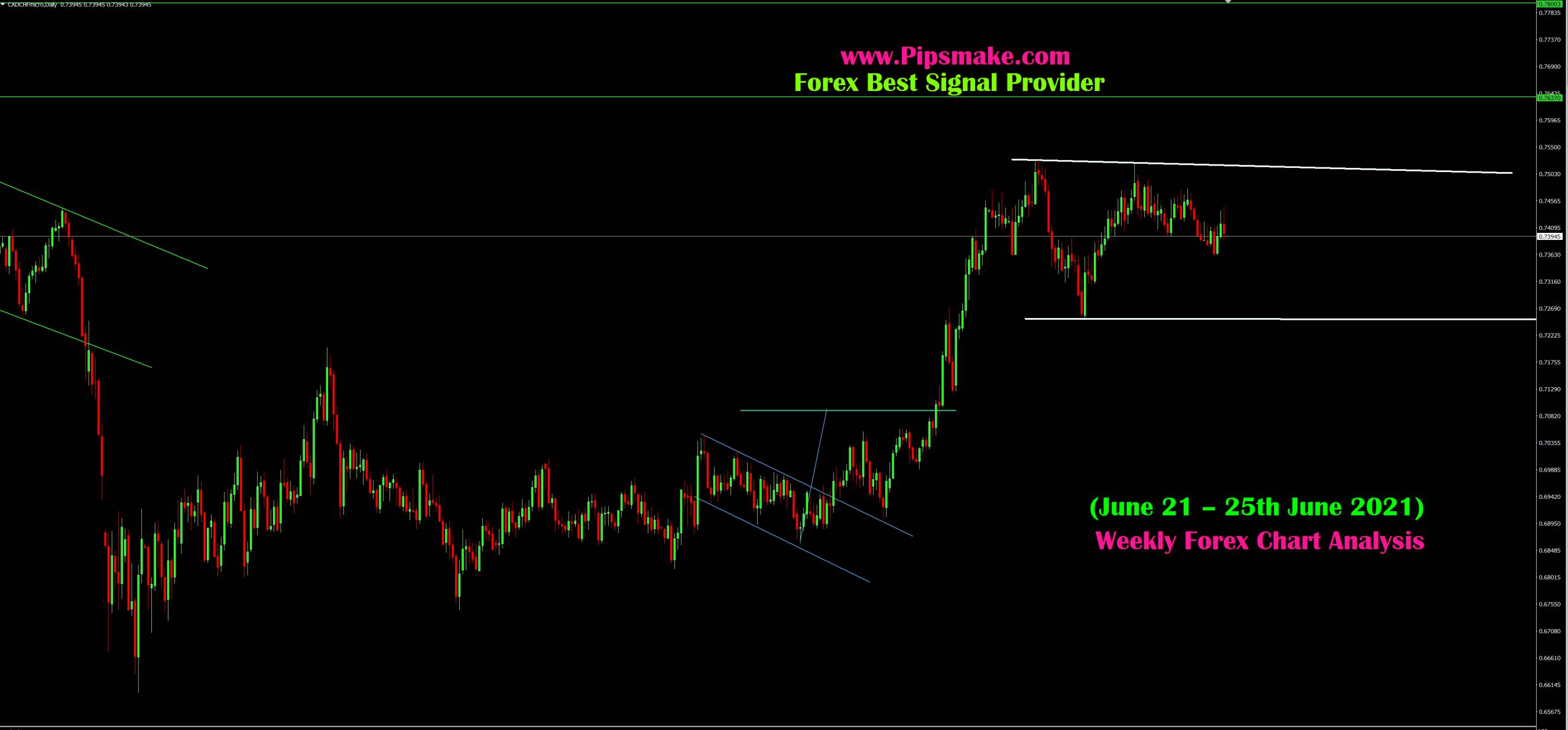 Forex signals