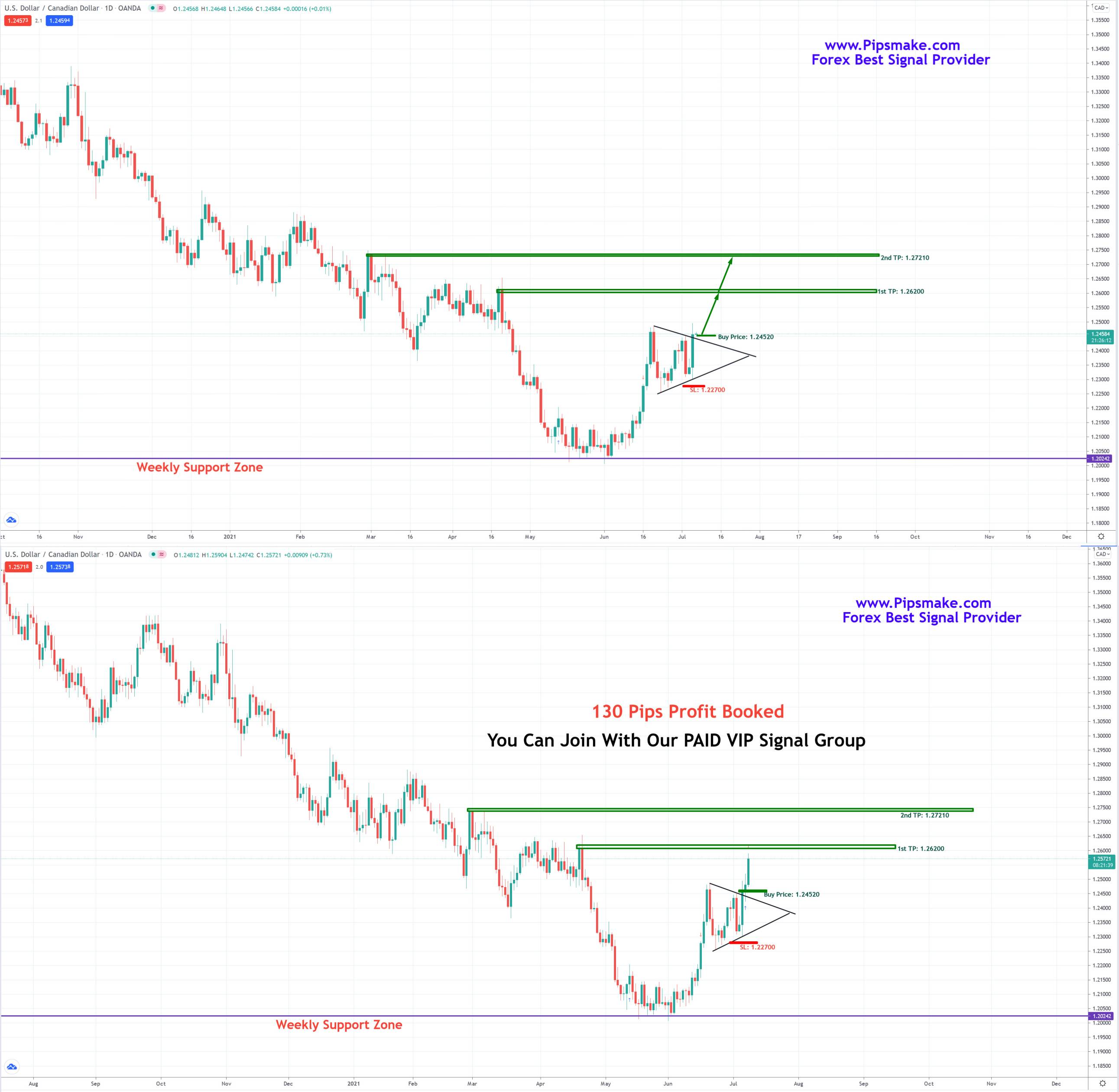 Best Forex Signals Provider | Forex Signals